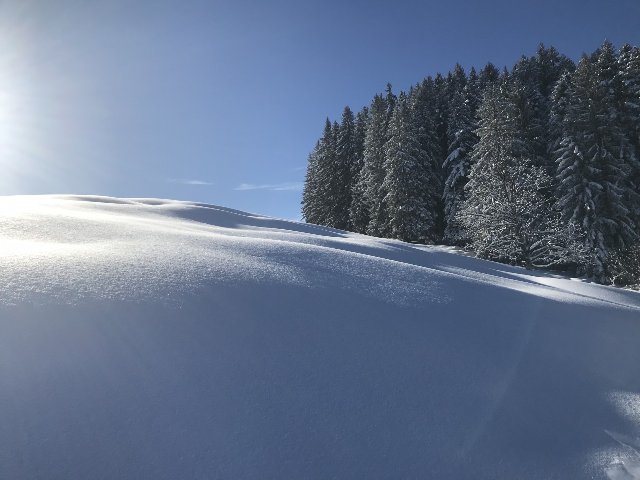Rückblick und Ausblick